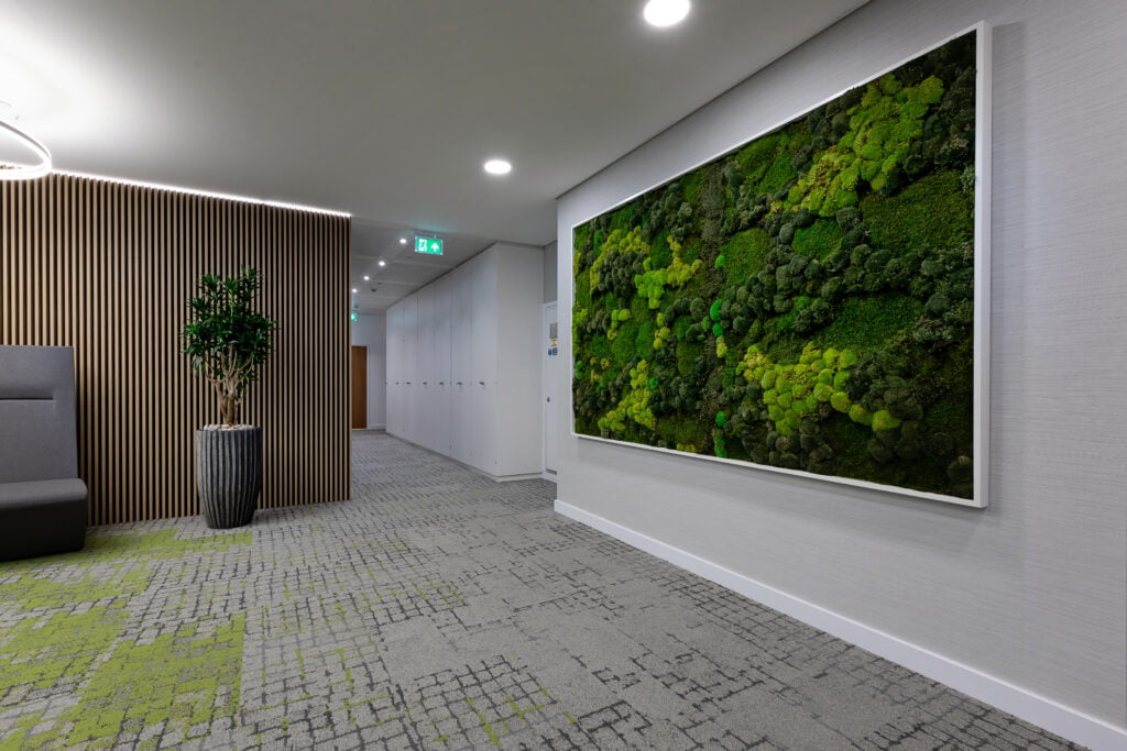Biophilic wall feature and green plant in an office space. 