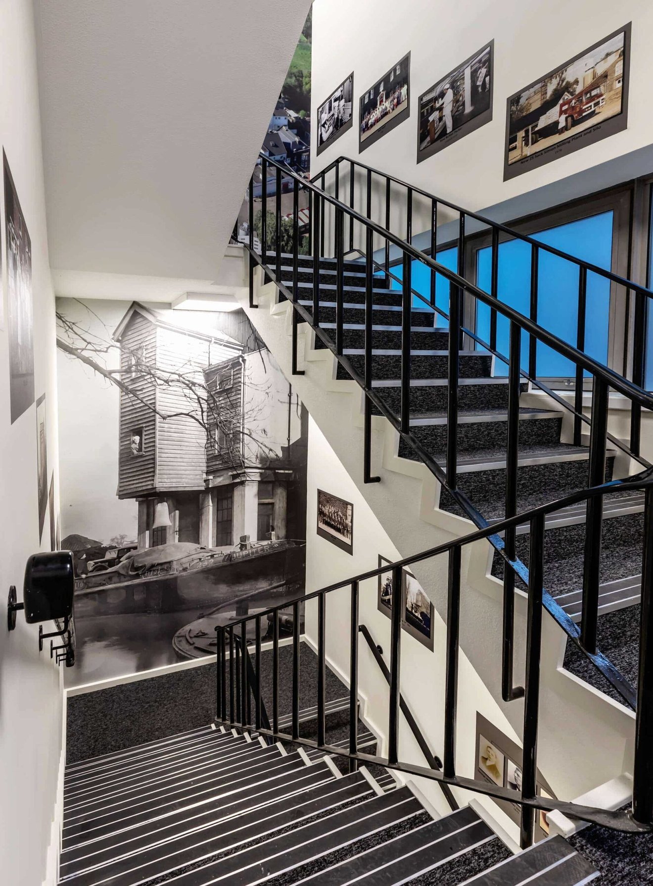 A staircase with custom wall designs.