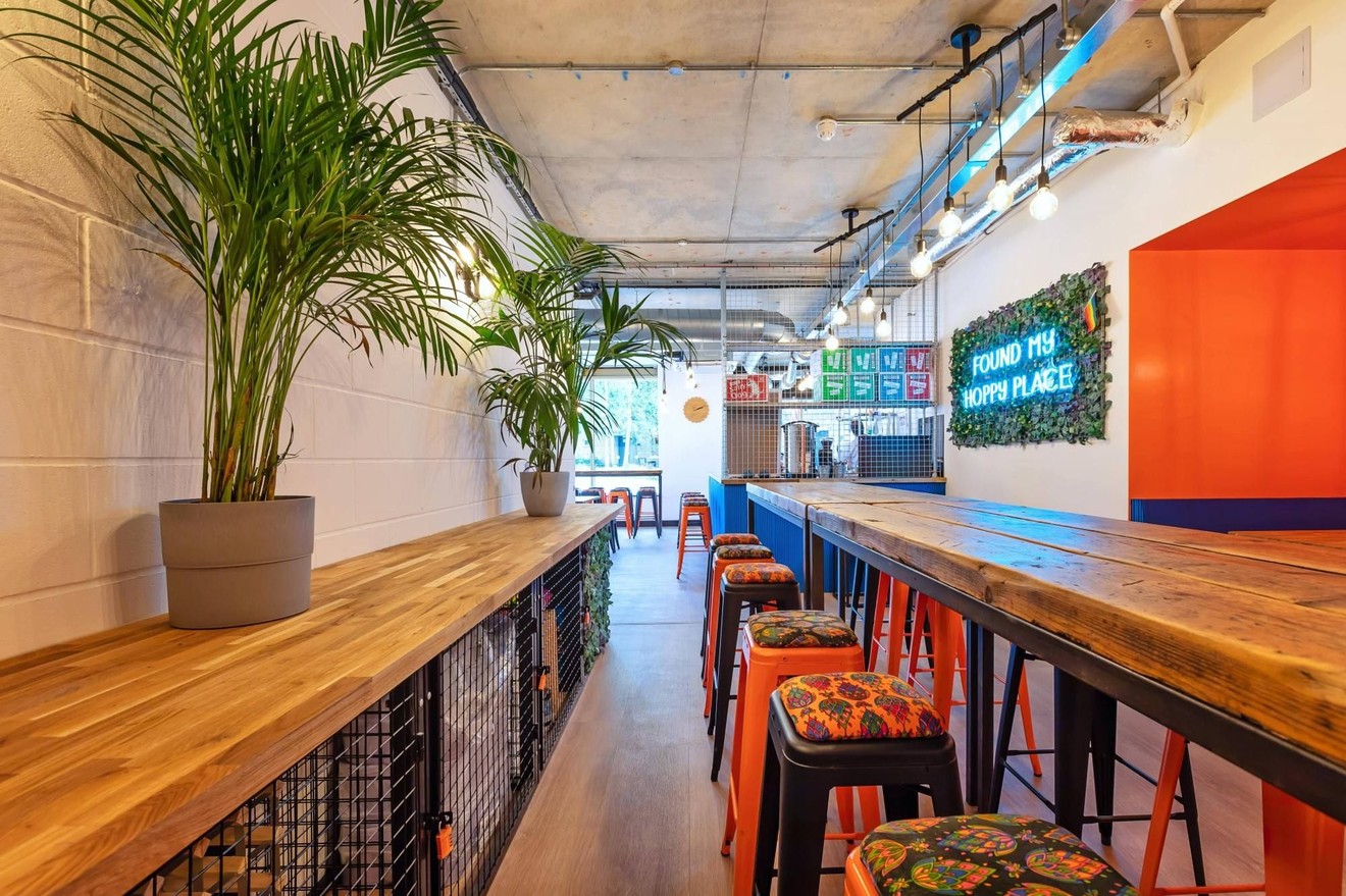 An empty bar with countertops going along the left with plants on them and a long table with stools going along the right.